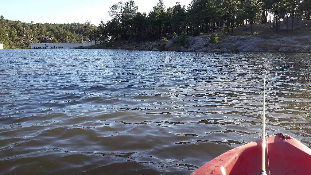 Se llevara a cabo el prim