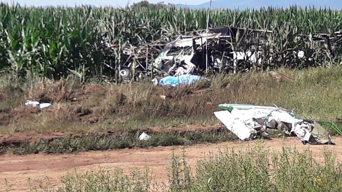 Avionetazo cerca de Namiquipa (6)