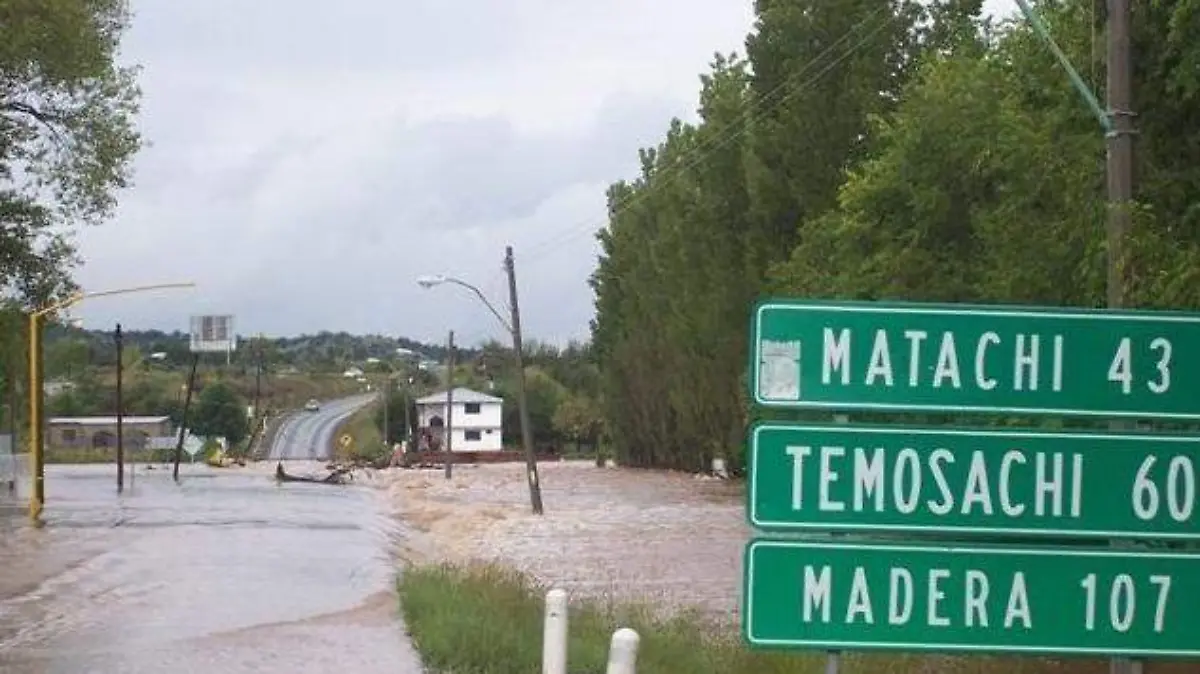 MX12849275776313