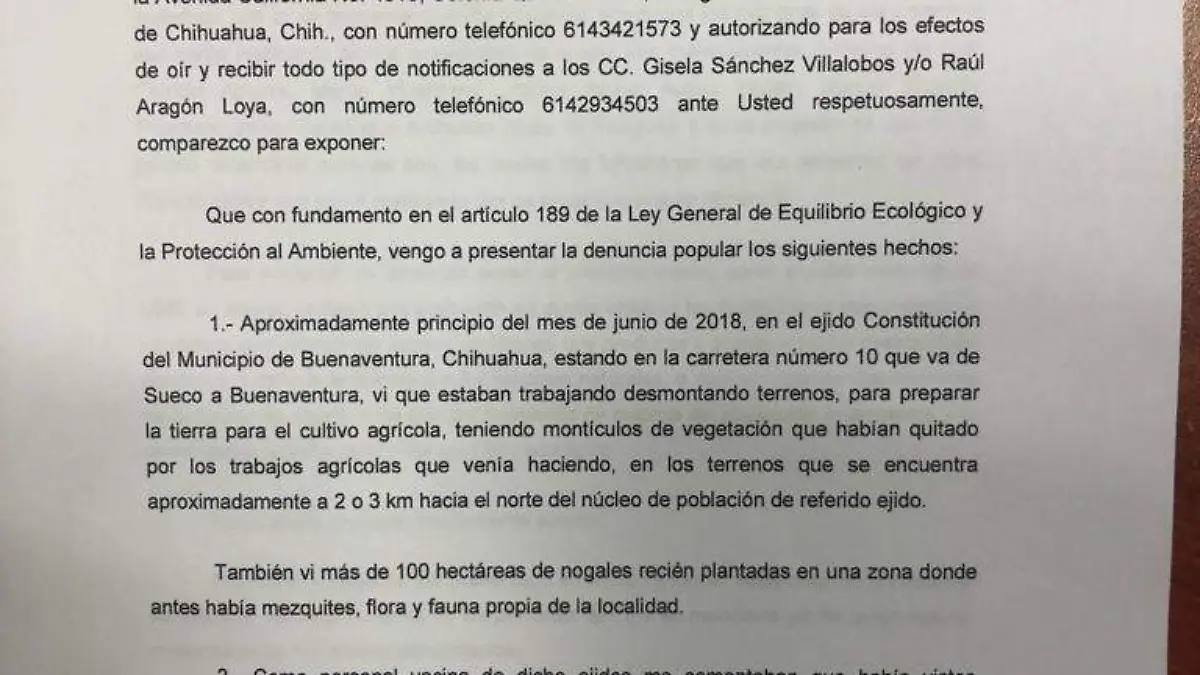 226a4469-aa4f-4168-9878-e3c4d8bb46dd (1)