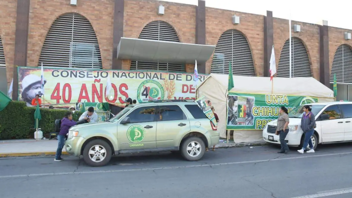 manifestacion (2)