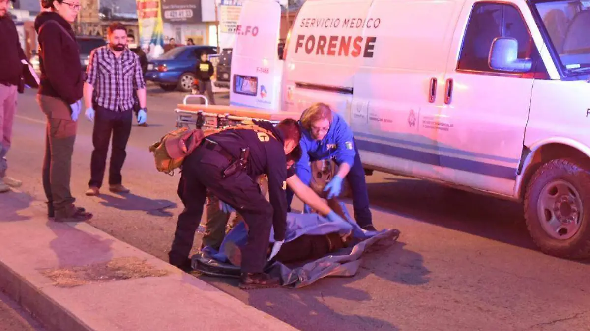 WhatsApp Image 2019-01-04 at 17.47.28