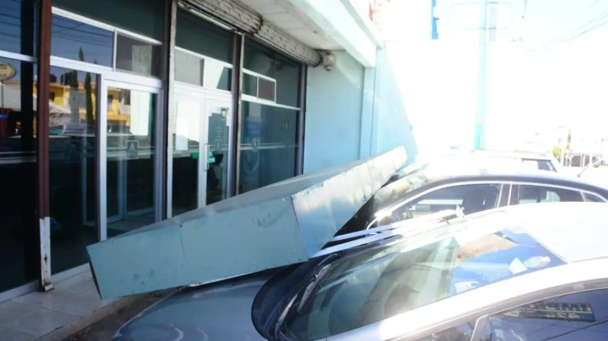 Image 2019-02-19 at 12.43.07 (1)