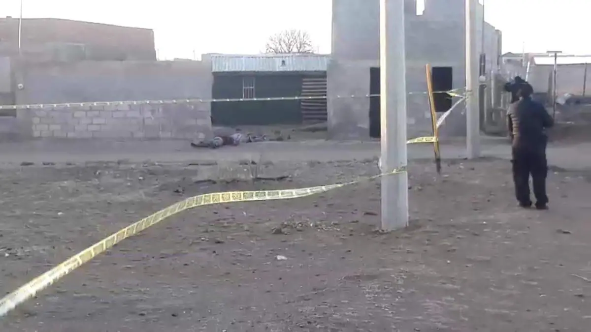 WhatsApp Image 2019-02-23 at 07.52.02