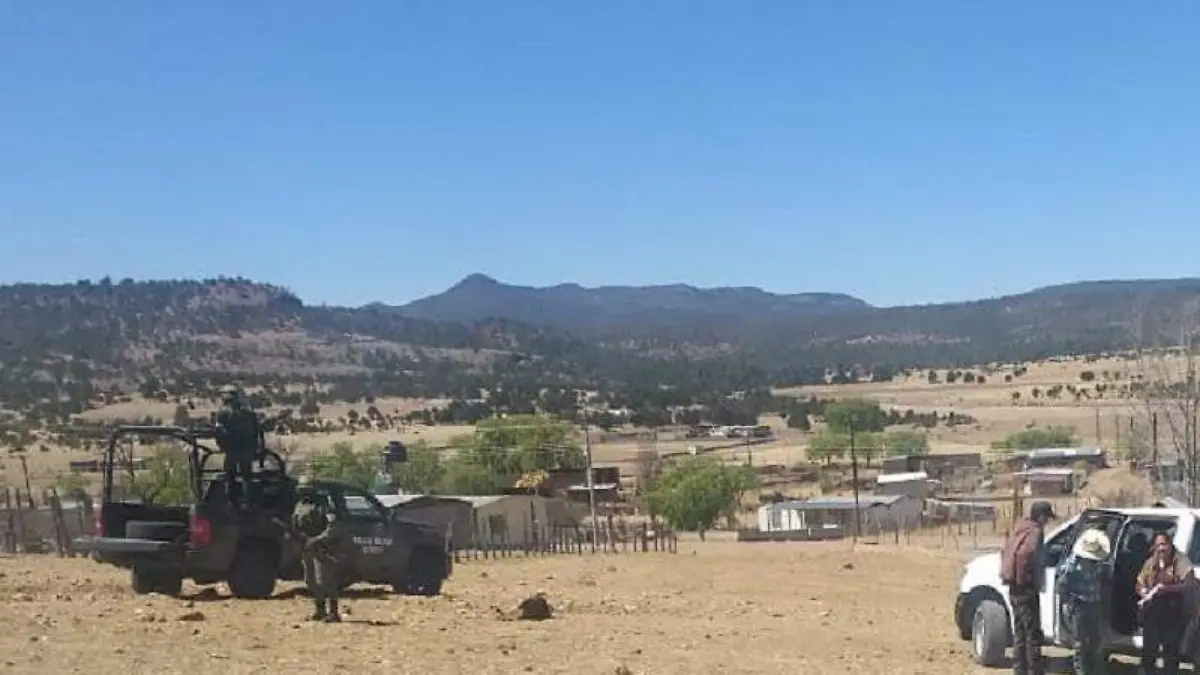 WhatsApp Image 2019-04-10 at 07.34.52