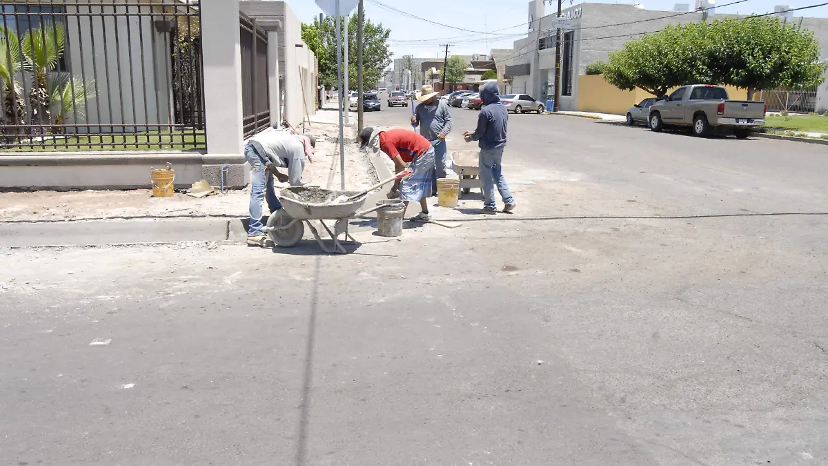 E-TRABAJO DE SOL A SOL ALBAÑIL