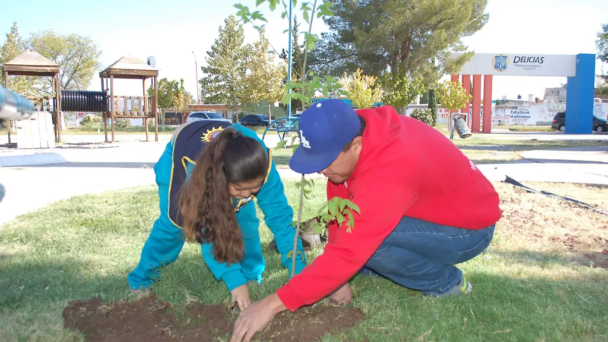6 SEPTIEMBRE- Plantando un arbol