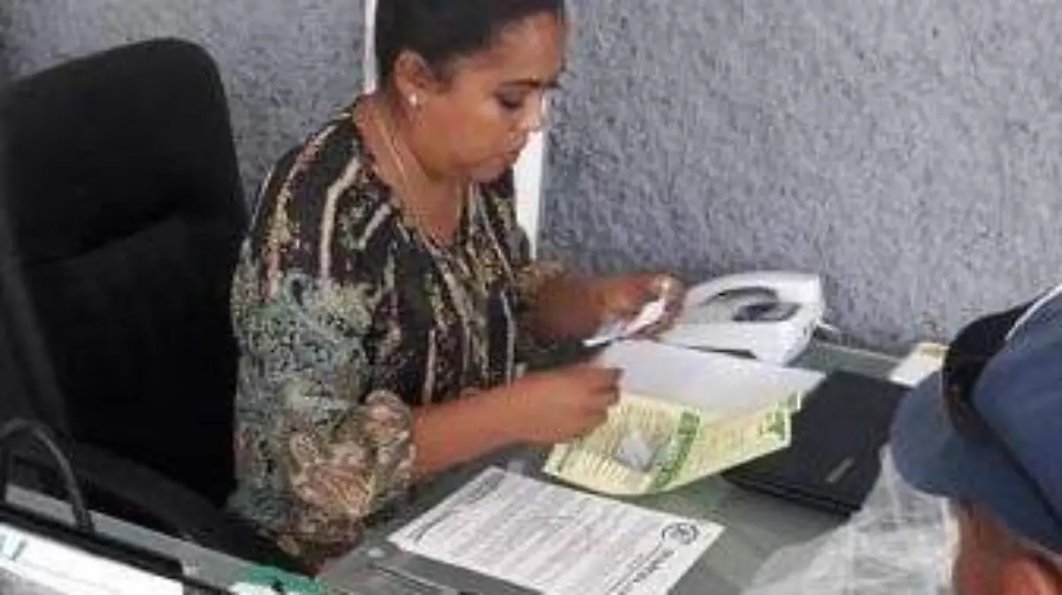 COLOR-LA-Buscan defensa de sus vehiculos extranjeros