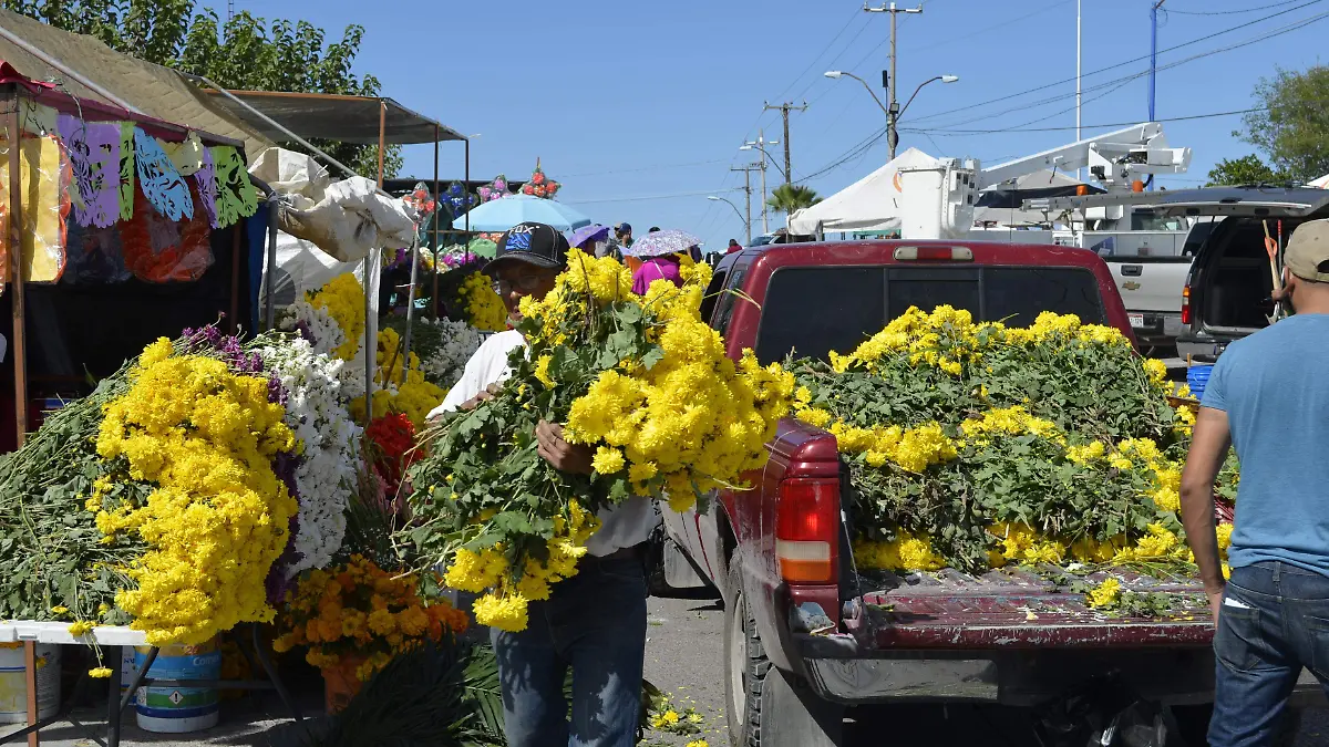 28 SEPTIEMBRE- Flores para el Dìa de Muertos