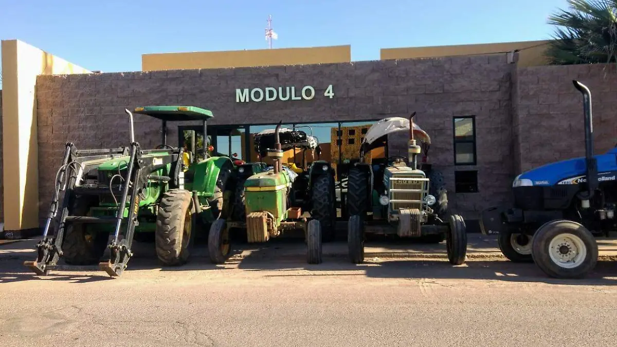 WhatsApp Image 2018-10-29 at 09.41.51