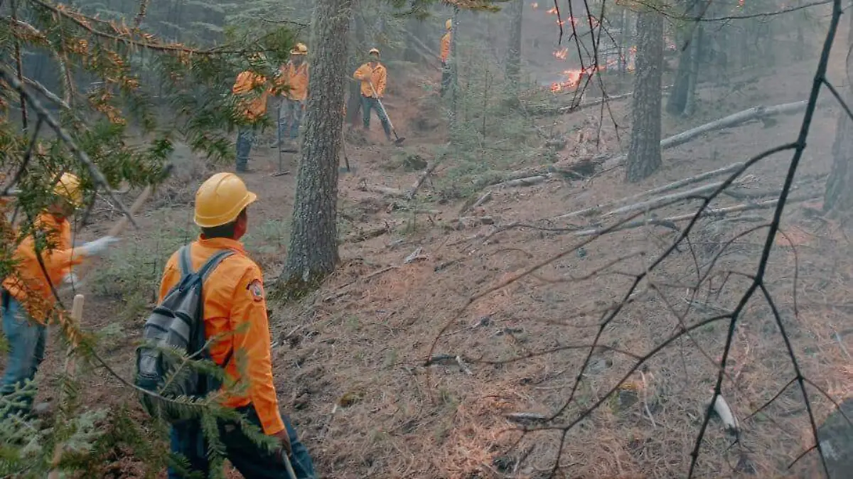 Incendios Forestales 