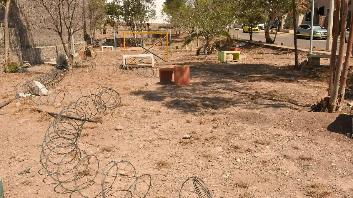 parque seco viiiejo descuidado áreas verdes