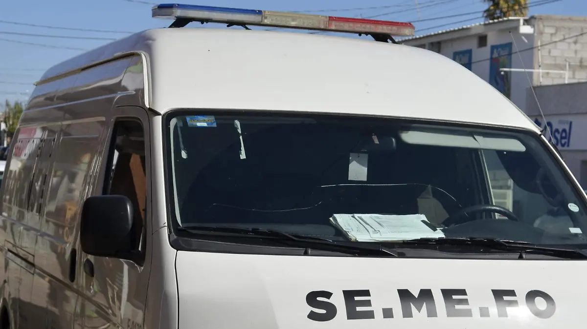 SEMEFO