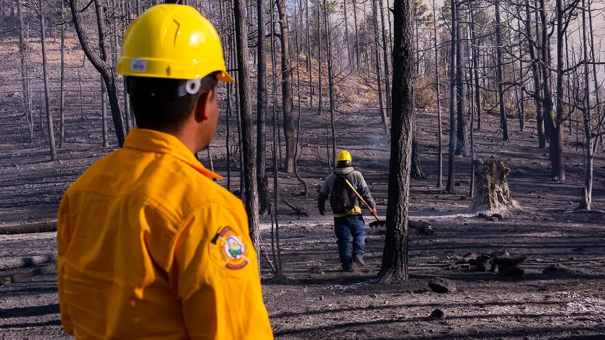 incendios forestales