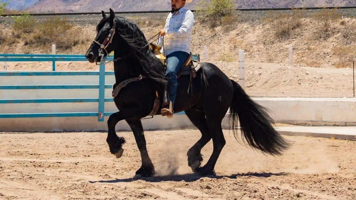 Caballo jinete