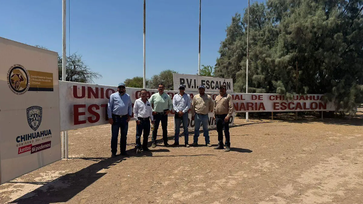 Puntos de Verificación e Inspección Interna en Chihuahua