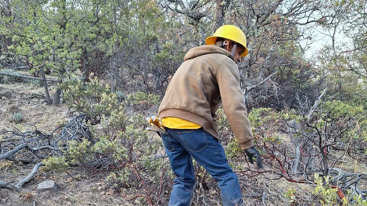 Incendios 