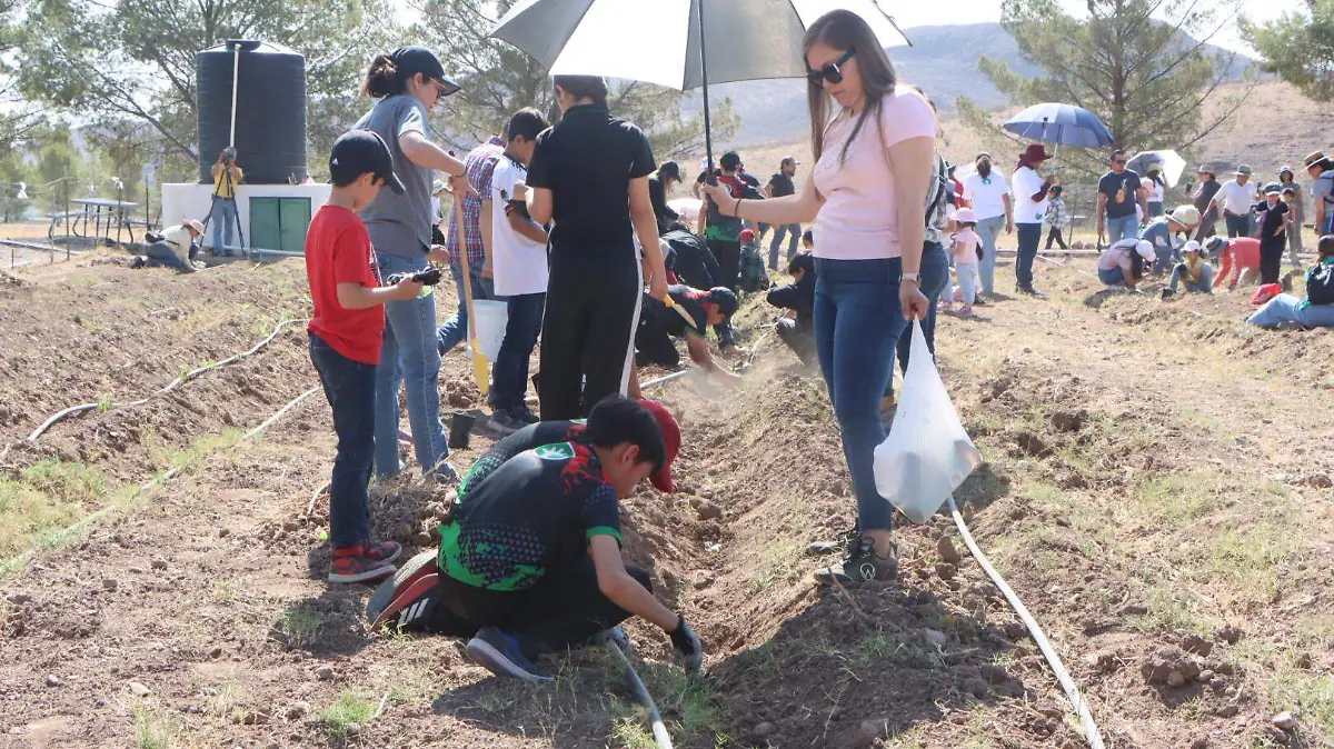 Reforestacion Colegio Regional Bilingue