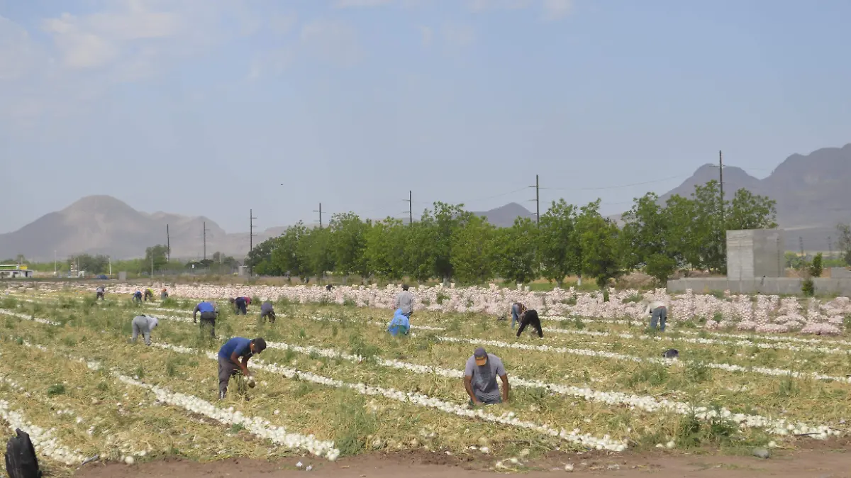 Los jornaleros agrícolas son vulnerables al calor