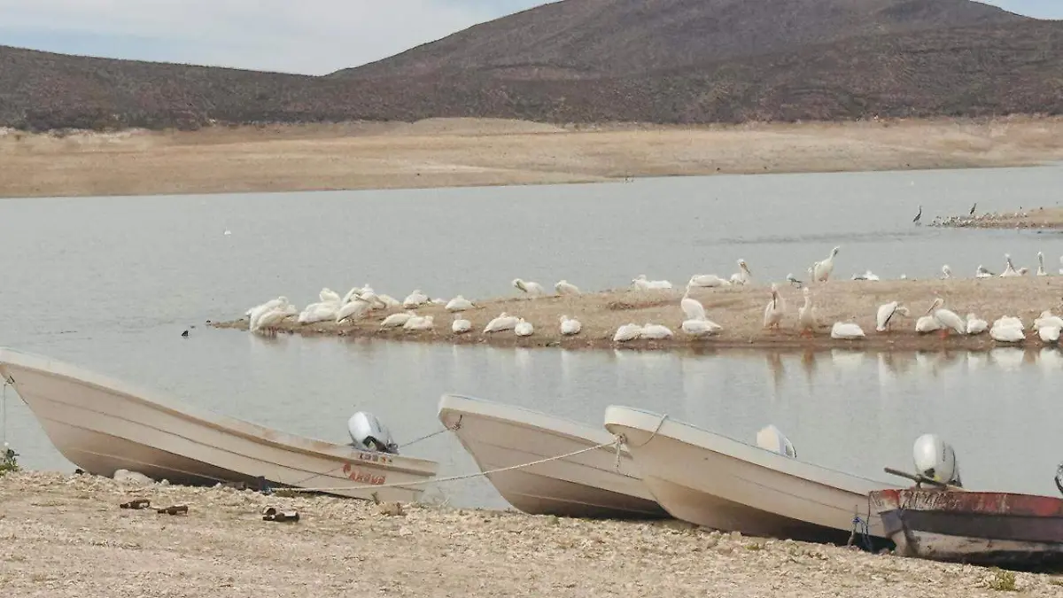 Presa La Boquilla
