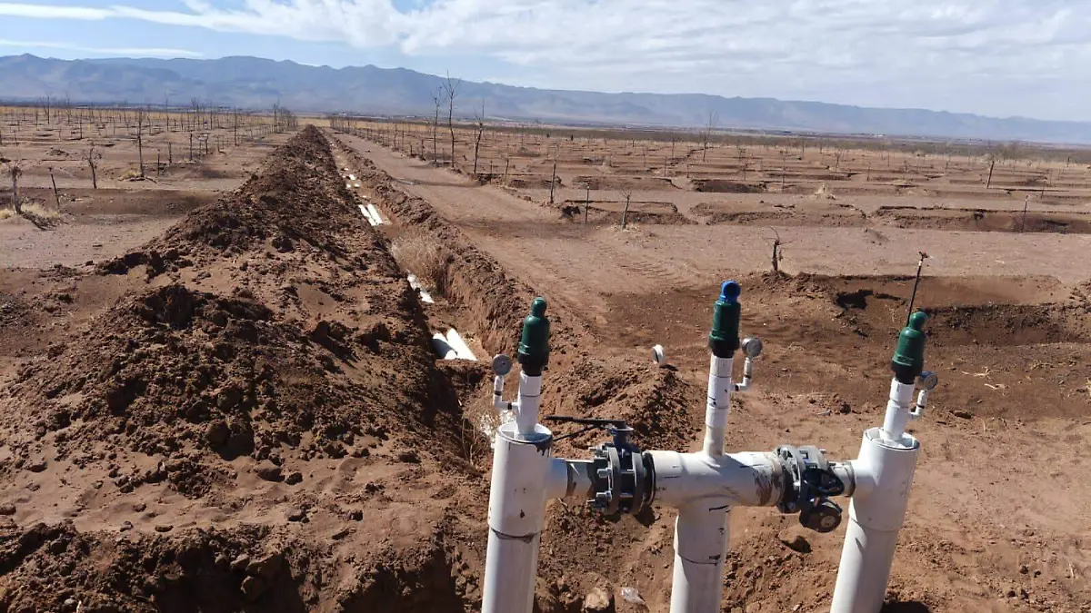 eficiencia uso del agua