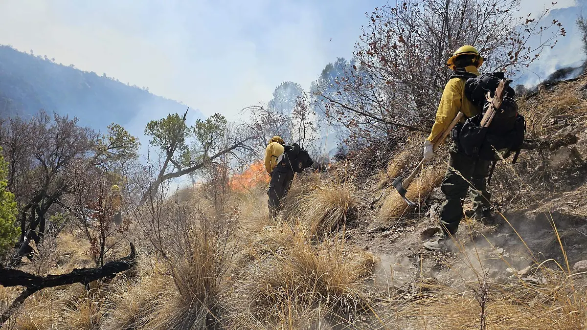 Incendio forestal brigadistas combatientes