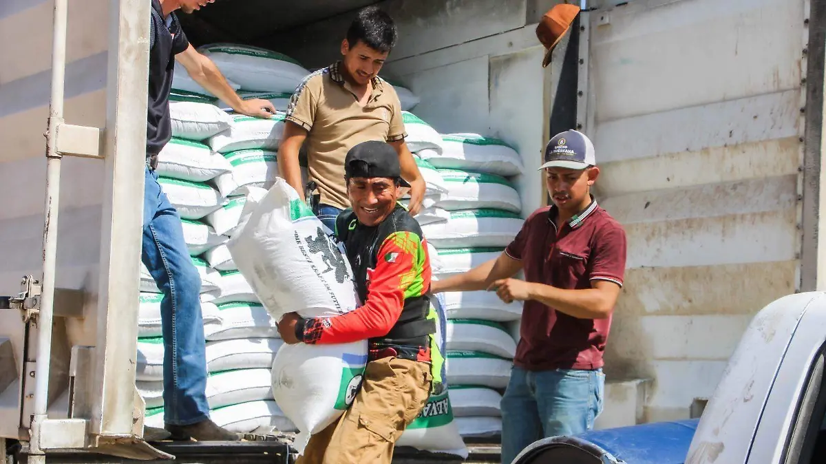 Insumos concentrado lechero 