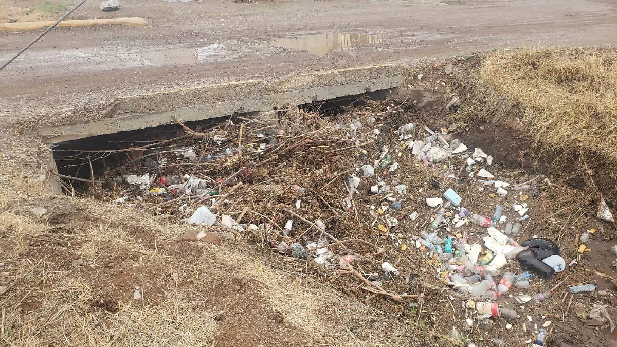 basura arroyos