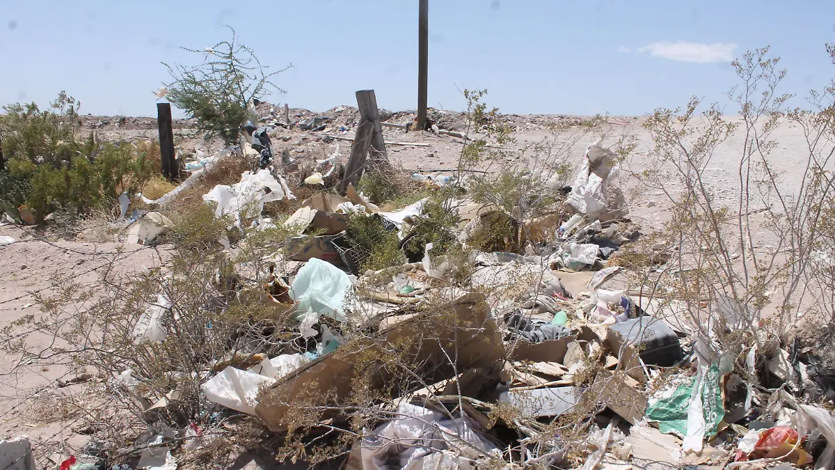 Aumulación de basura y cacharros