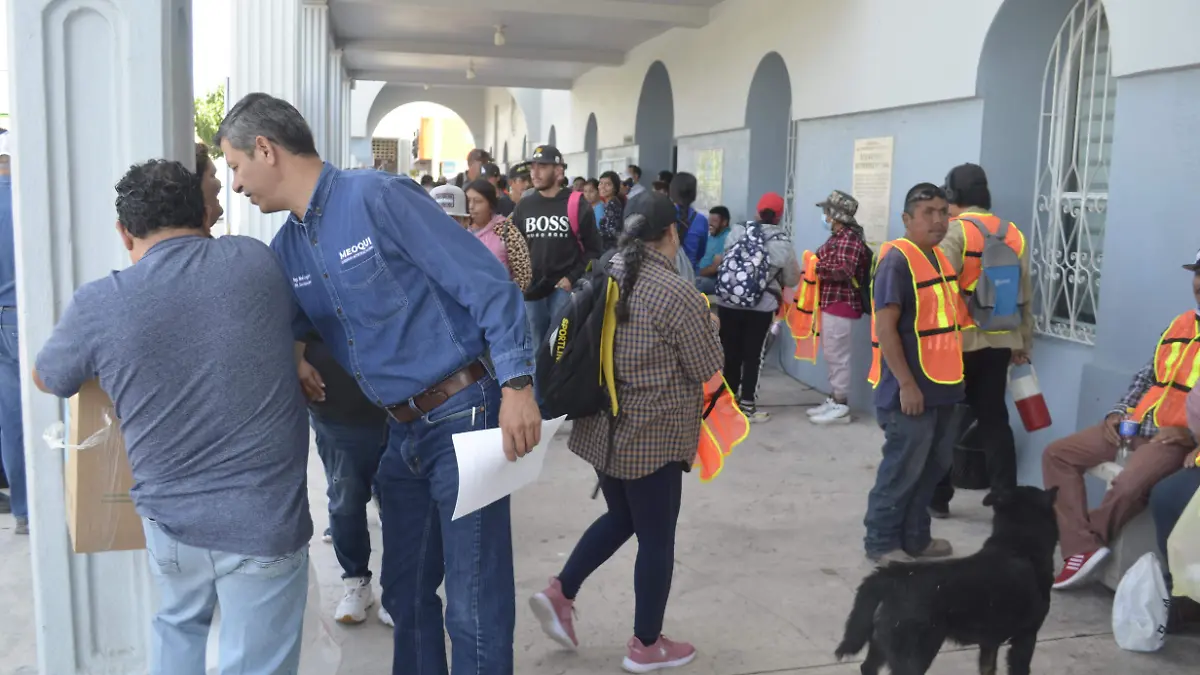 Empleo temporal