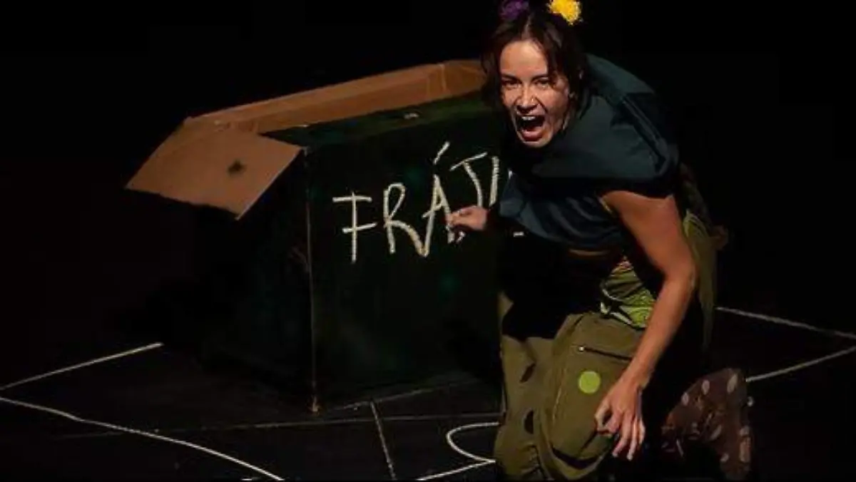 OBRA NINA Y EL MISTERIO DE LA TORTUGA