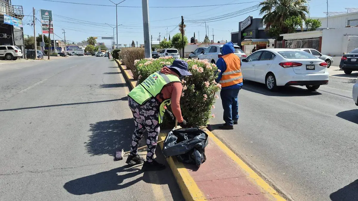 WhatsApp Image 2025-06-19 at 10.14.23 AM