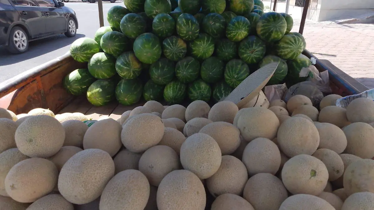 Melones y sandías