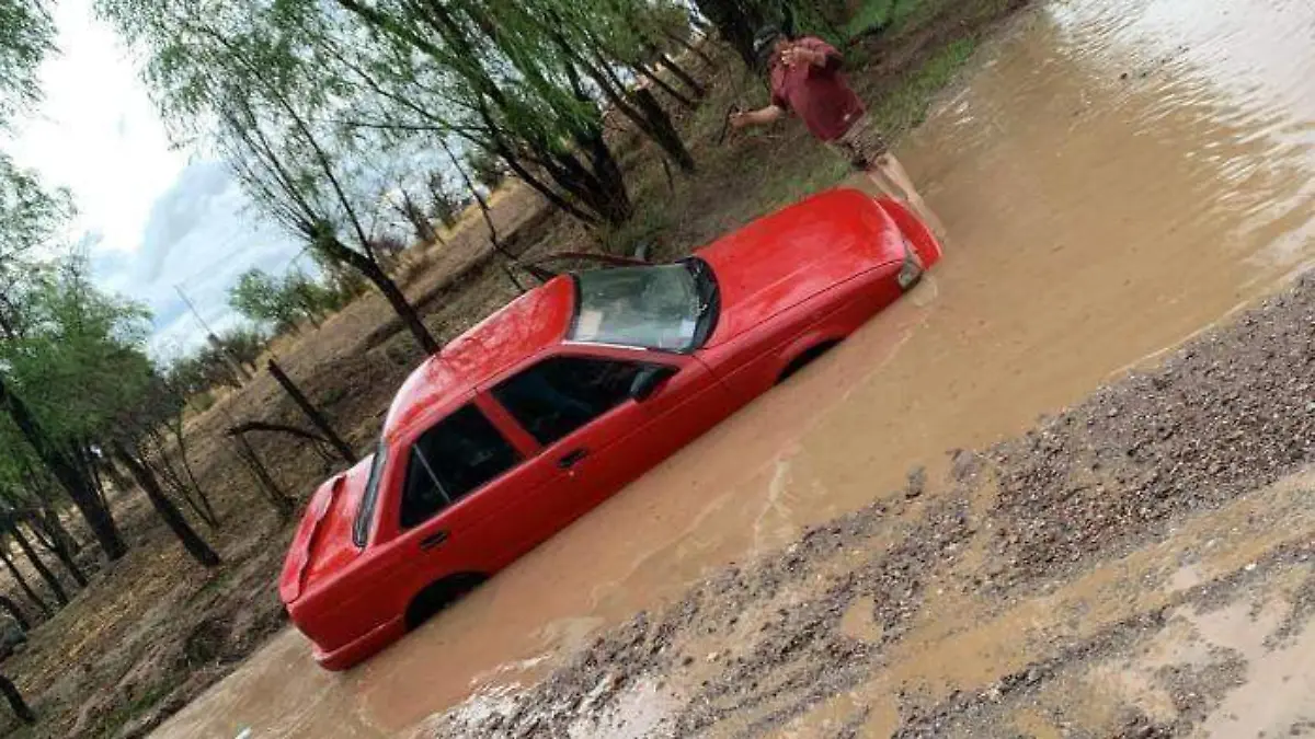 WhatsApp Image 2025-06-24 at 8.56.22 AM