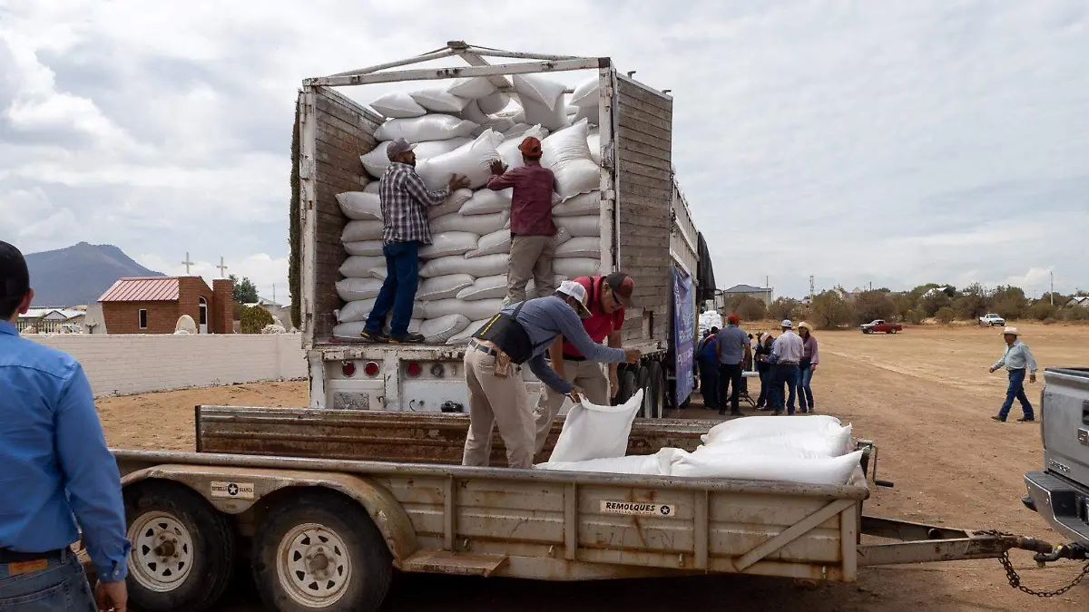 entrega apoyos campo