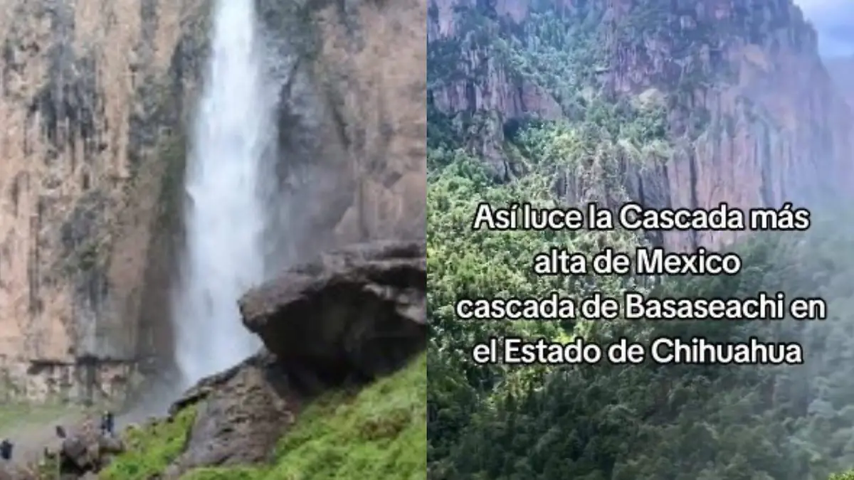 Imagen de WhatsApp 2025-06-27 a las 15.41.02_899f3b6d