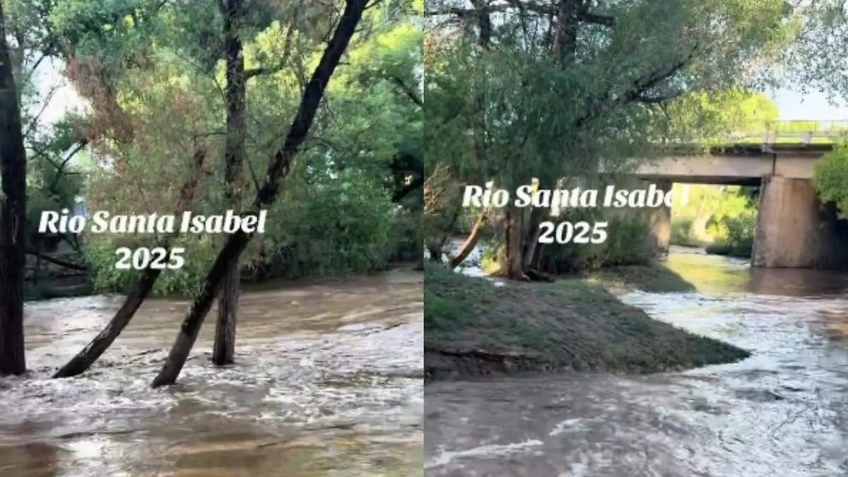 Imagen de WhatsApp 2025-07-02 a las 15.22.11_4382929c