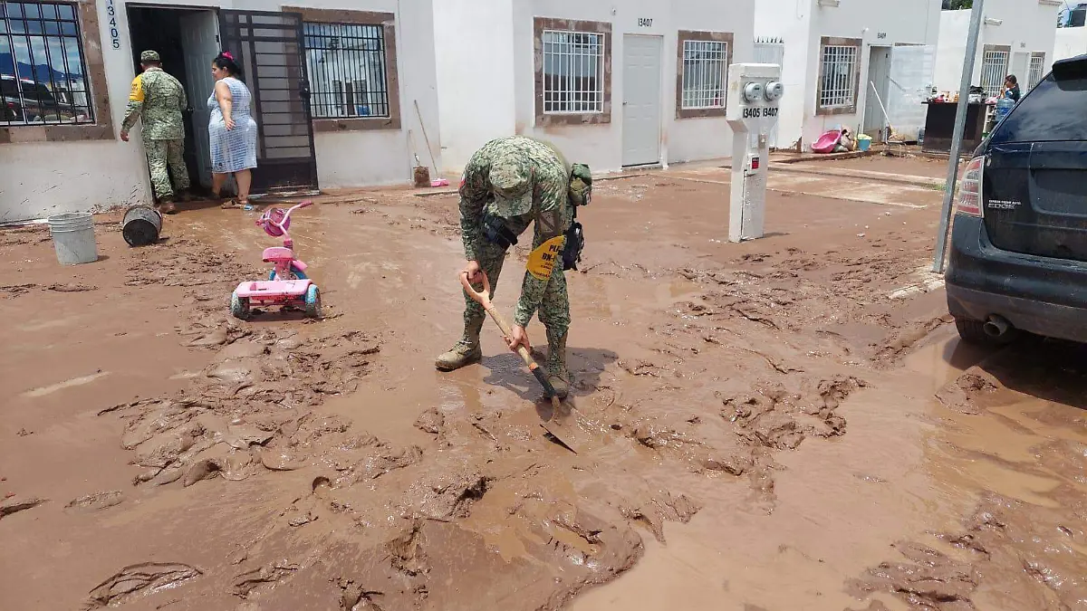 limpieza en praderas del sur
