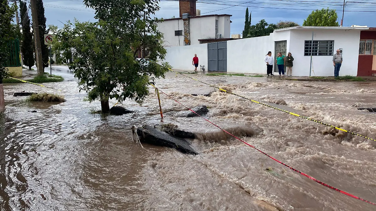 WhatsApp Image 2025-07-03 at 6.00.43 PM (1)