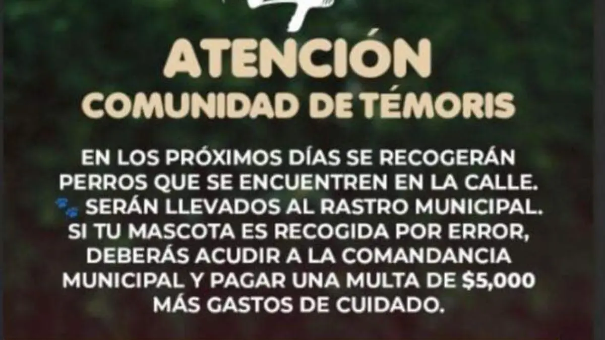 muerte perros
