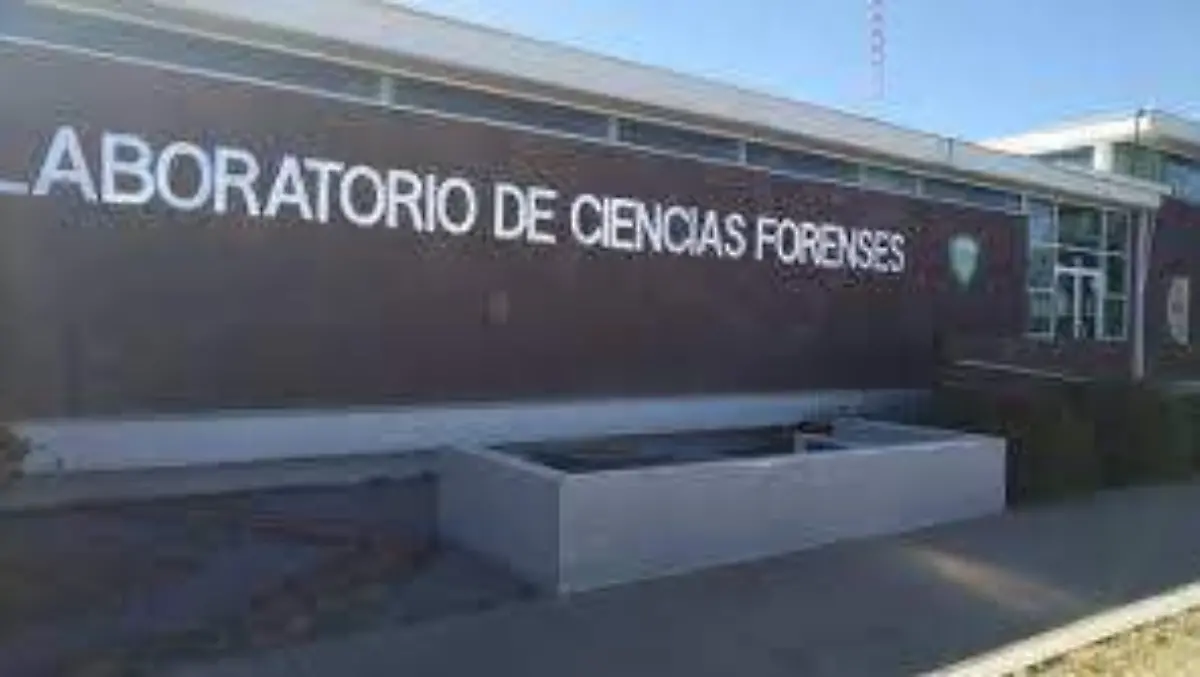 semefo