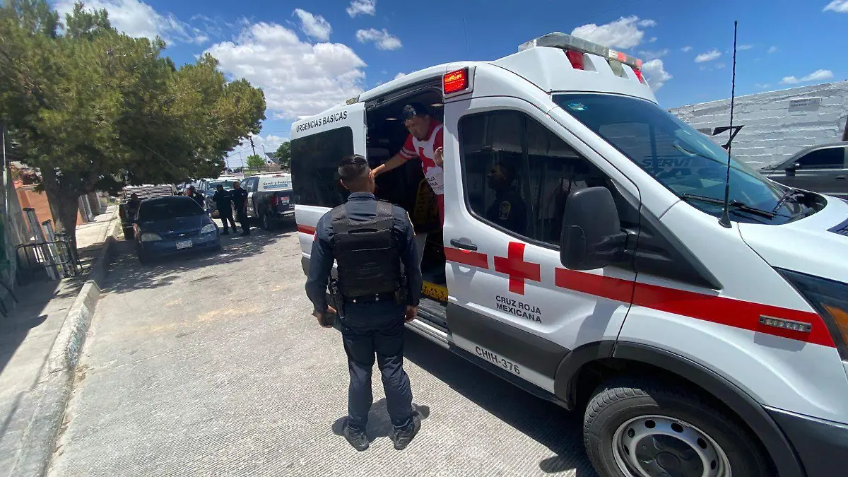 WhatsApp Image 2025-07-08 at 2.00.10 PM