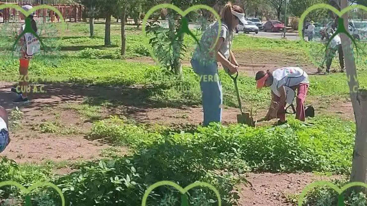 1000005502