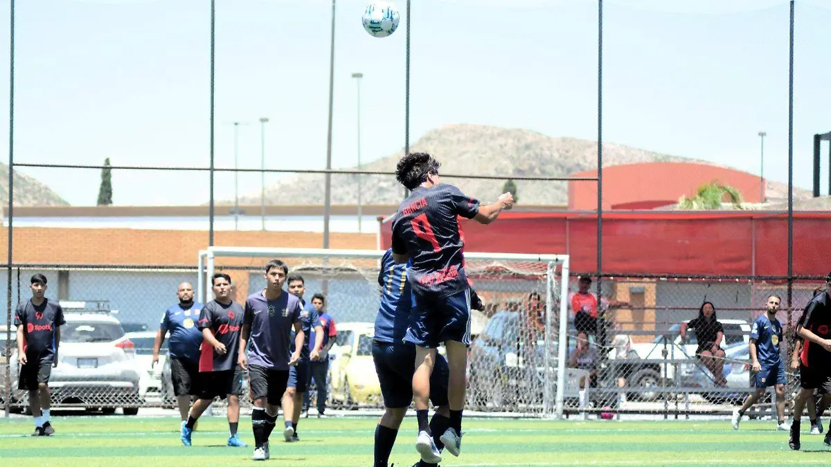 final fut 7x7
