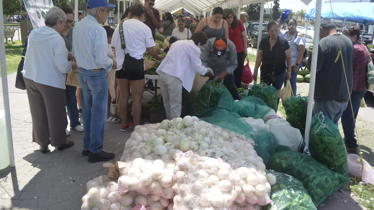 Se ofreció una variedad amplia de verduras, frutas y otros productos