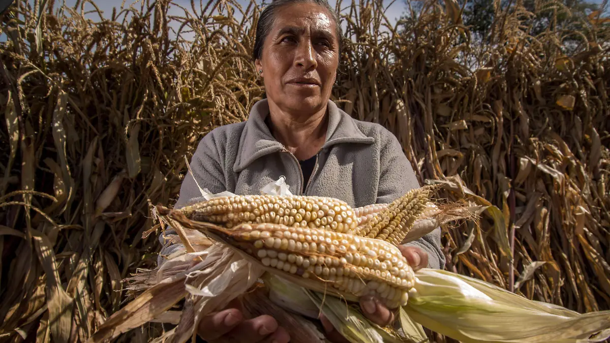 803111_Mujeres productoras del campo_impreso