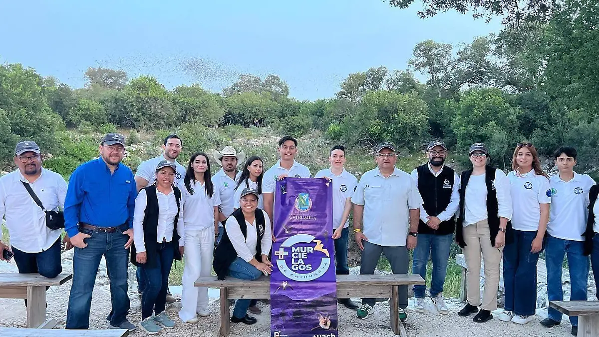 +Murciélagos de Chihuahua