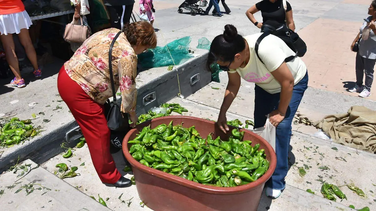 venta productos agrícolas chile chilaca 