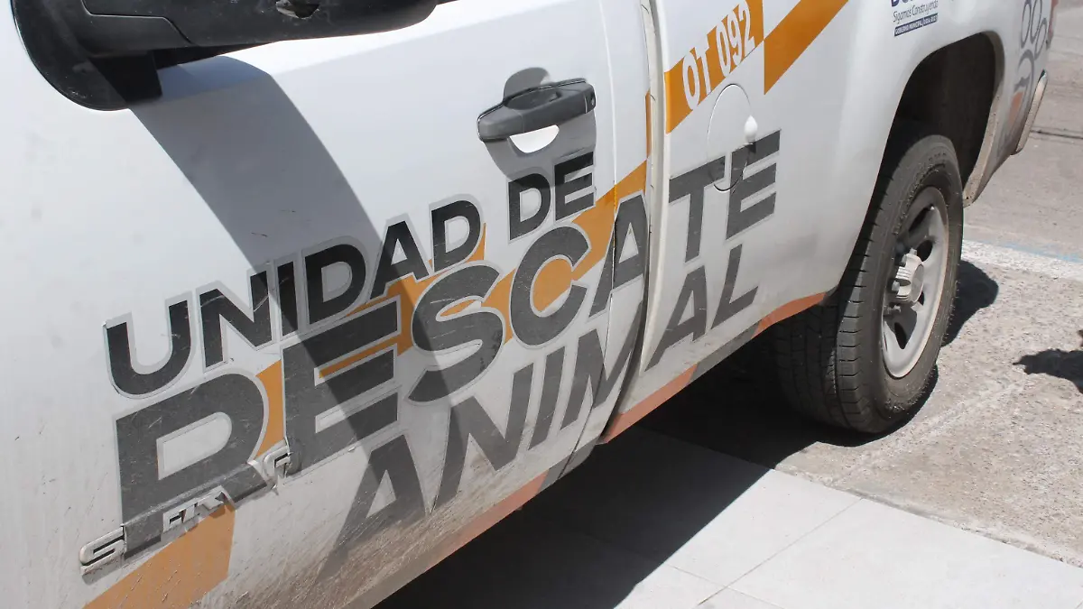 Unidad de Medio Ambiente