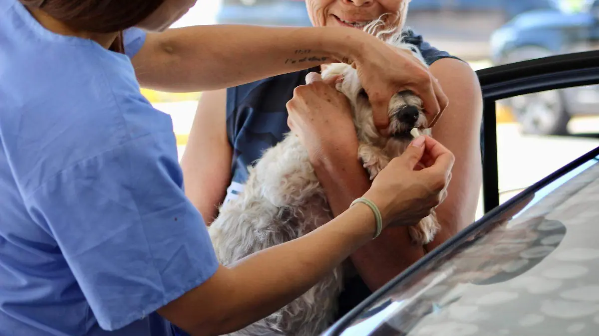 WhatsApp Image 2025-07-30 at 11.21.37 AM (1)